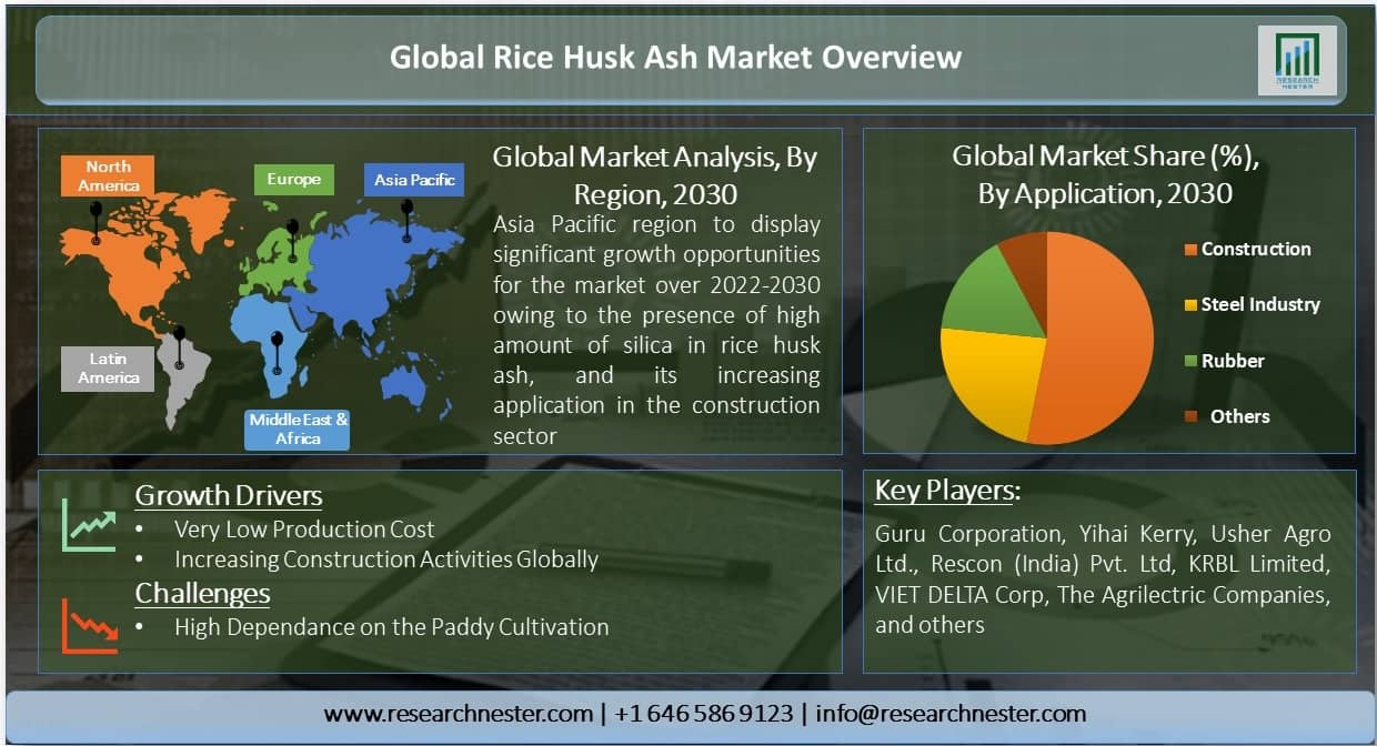 Rice Husk Ash Market Overview